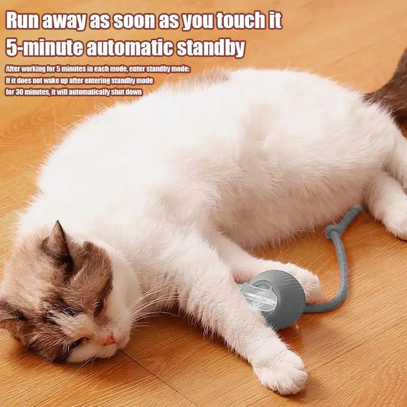 Cat Toys Ball Auto Electric Rolling Ball