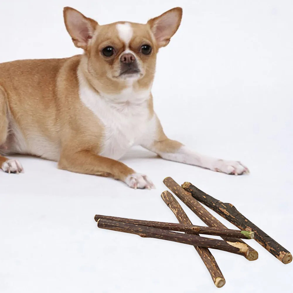 Apple Wood Chew Sticks Twigs For Small Pets