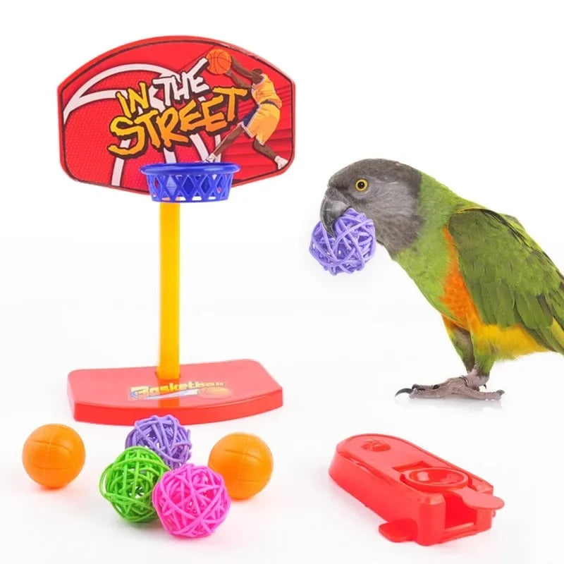 Bird Training Toy Supplies Toy Accessories