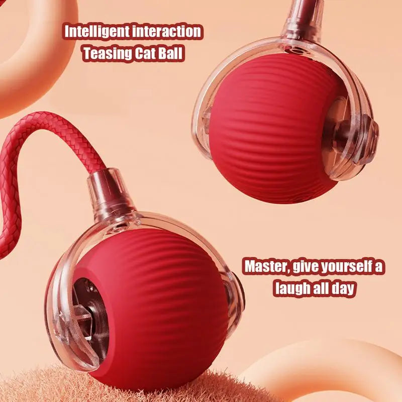Interactive Cat Rolling Ball Super Drive Toy
