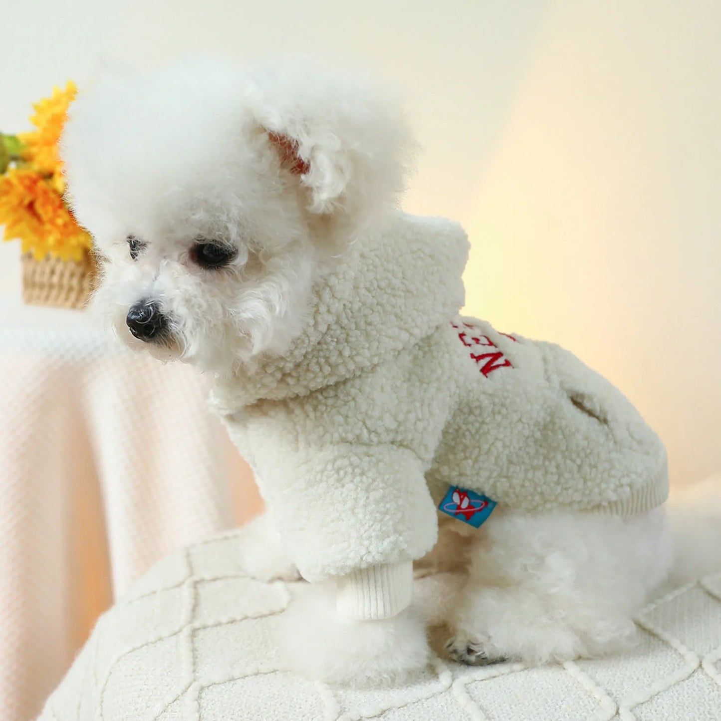 Dog Or Cat Clothing Lamb Wool Autumn/Winter Hoodie