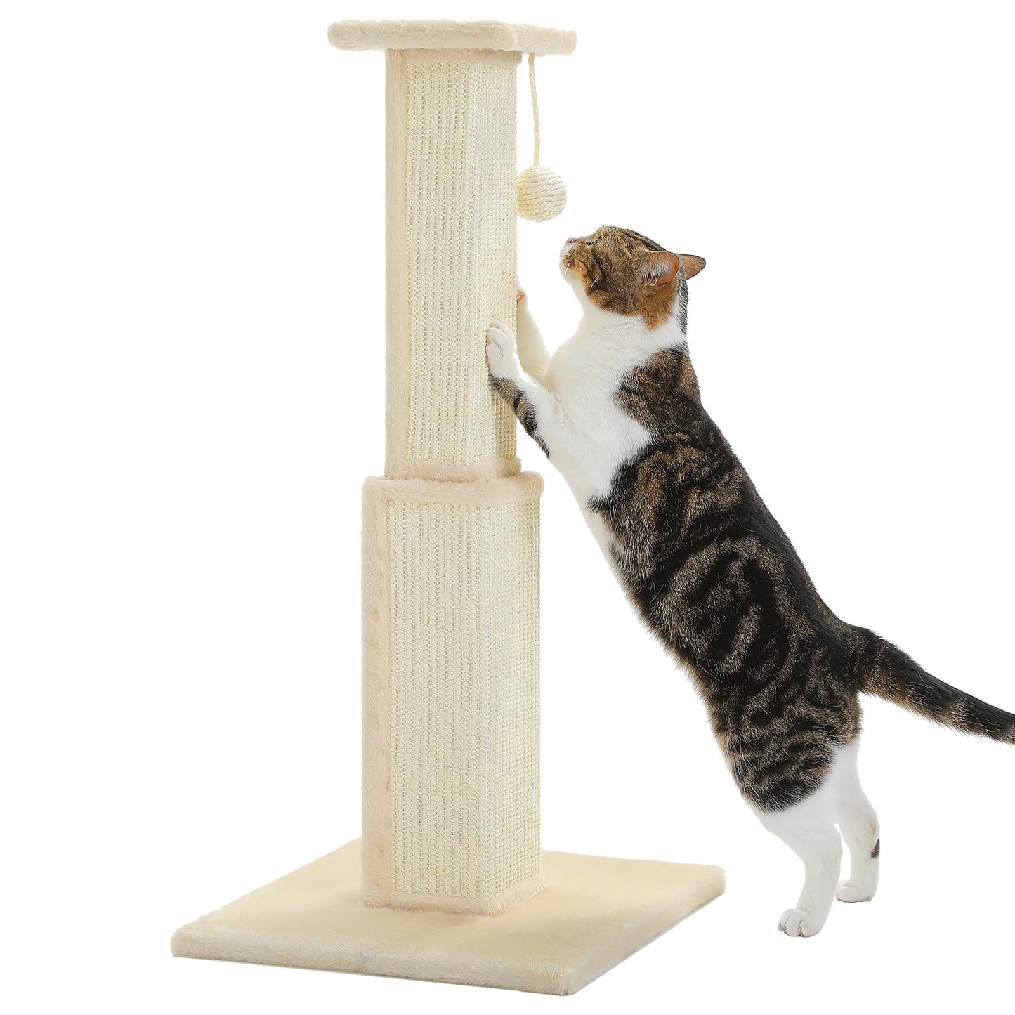 Cat Scratching Post for Indoor Scratcher