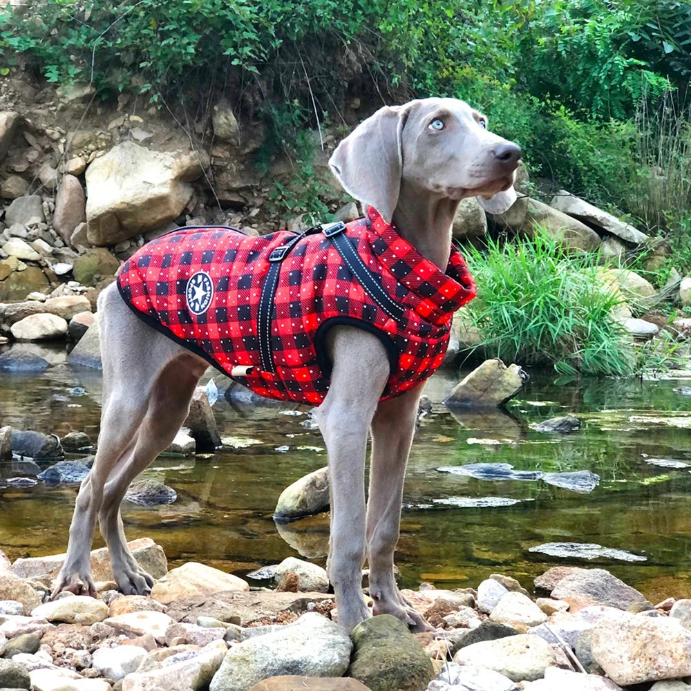 Winter Pet Dog Jacket With Harness Warm Dog Clothes