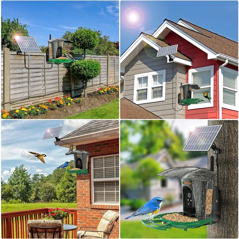 Smart Bird Feeder Camera with 64G Card