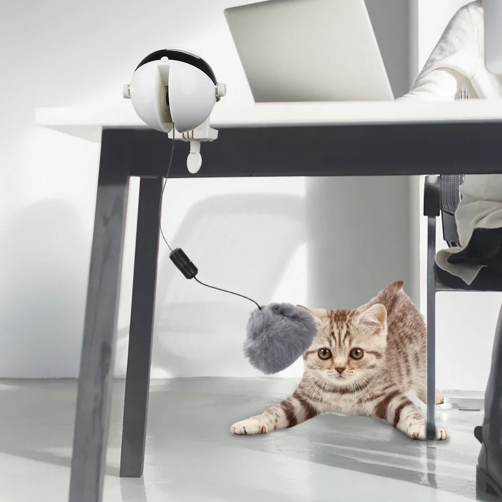 Pet Electric Automatic Lifting Ball Interactive Cat Toys