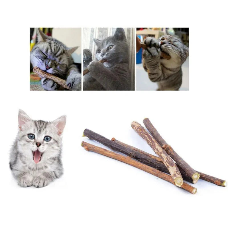 Cat Chew Toys Catnip Matatabi Silvervine Sticks