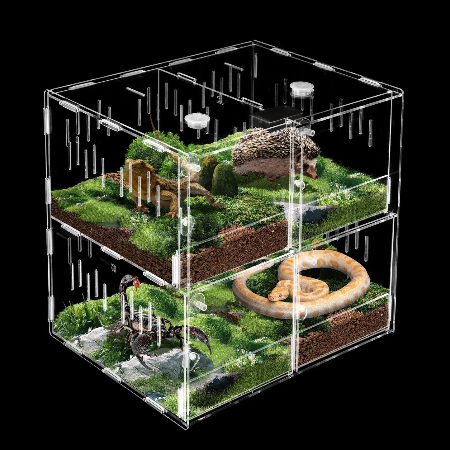4 Grids Acrylic Pet Reptile Cage Breeding Box Terrarium
