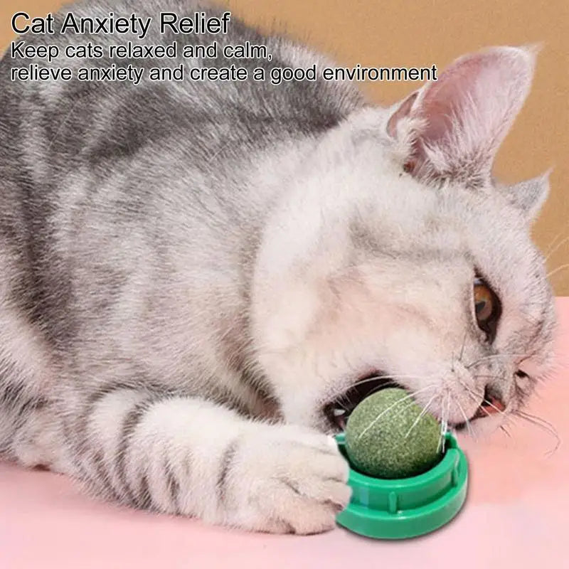 Catnip Balls Funny Lickable Snack Balls