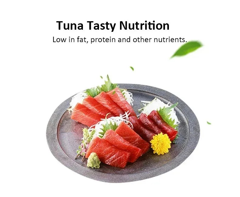 Cat Biscuits Salmon Snacks Multiplicity Nutrition Health
