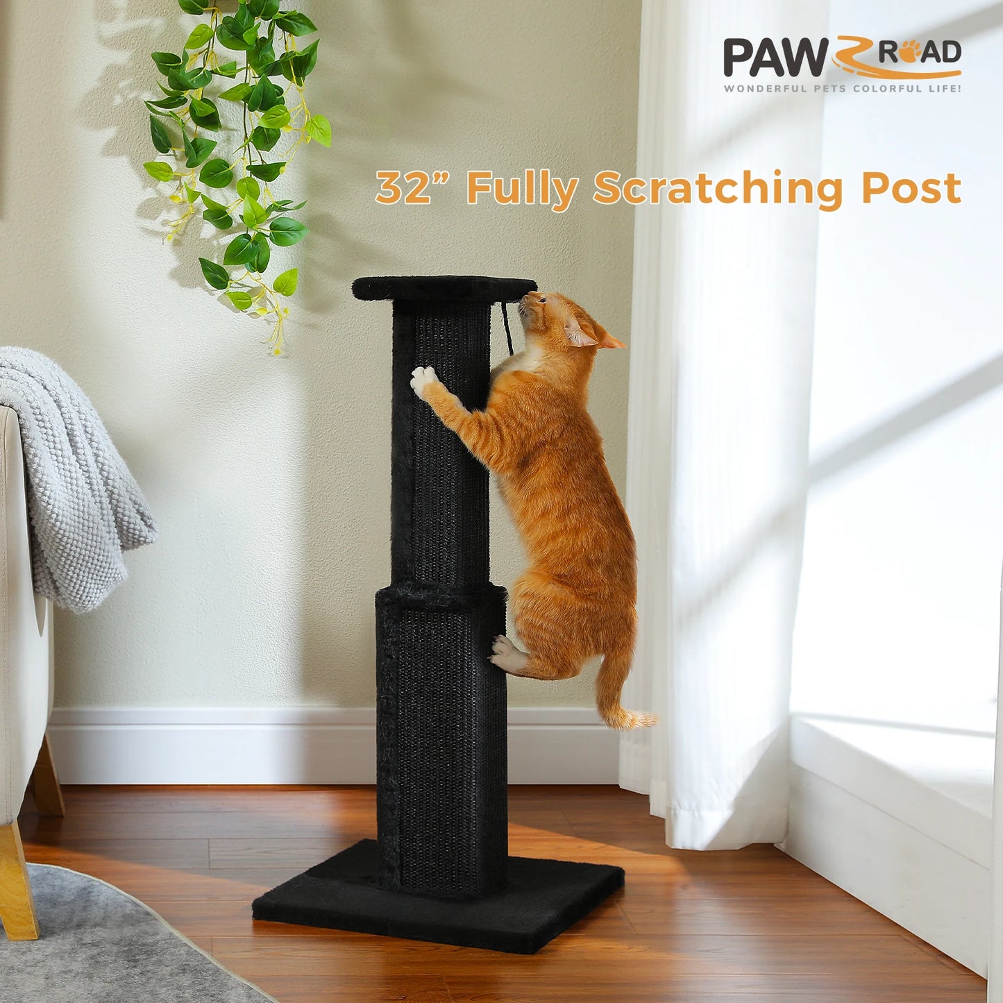 Cat Scratching Post for Indoor Scratcher
