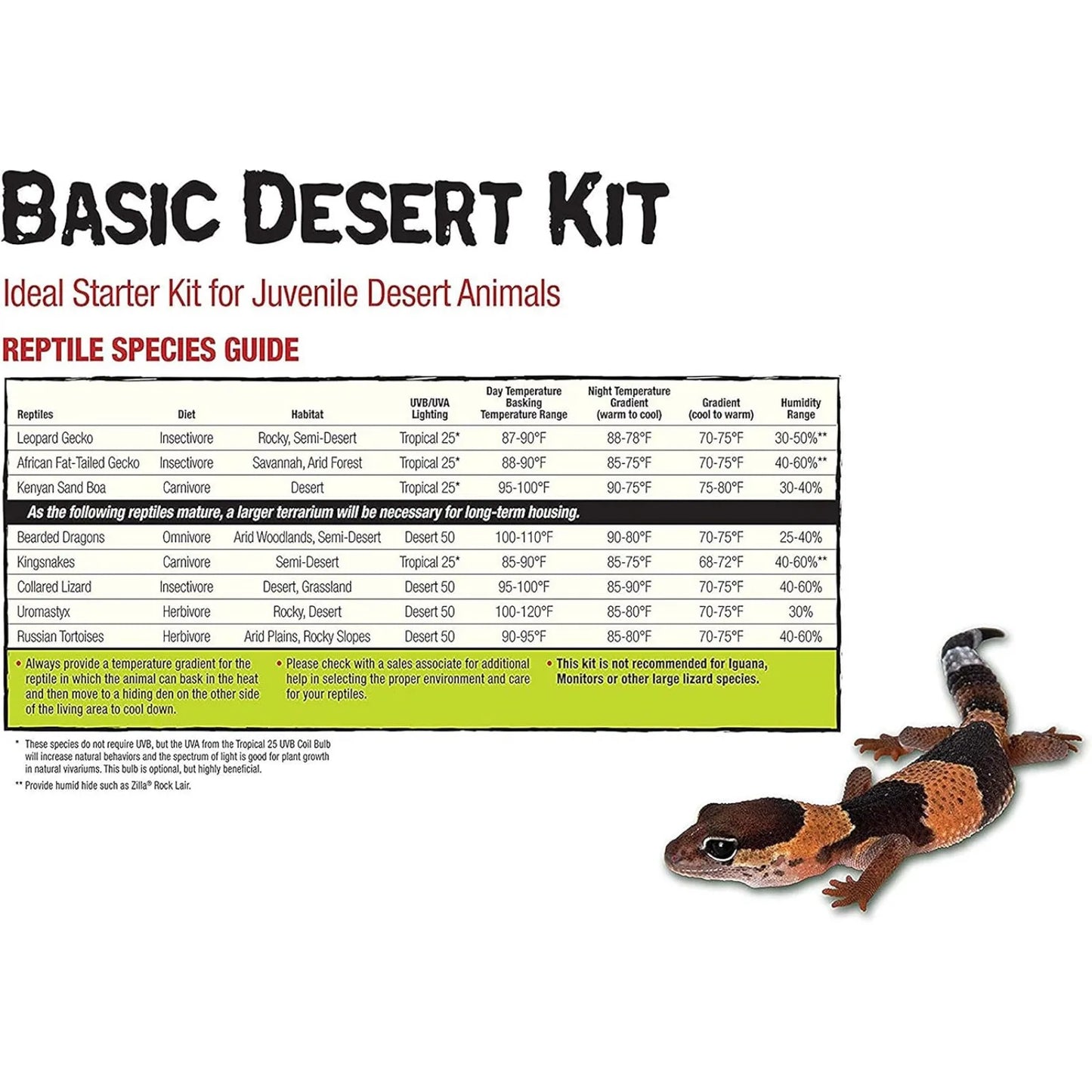 small Reptile Starter Habitat Kit with Light and Heat
