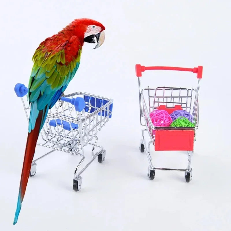 Bird Training Toy Supplies Toy Accessories