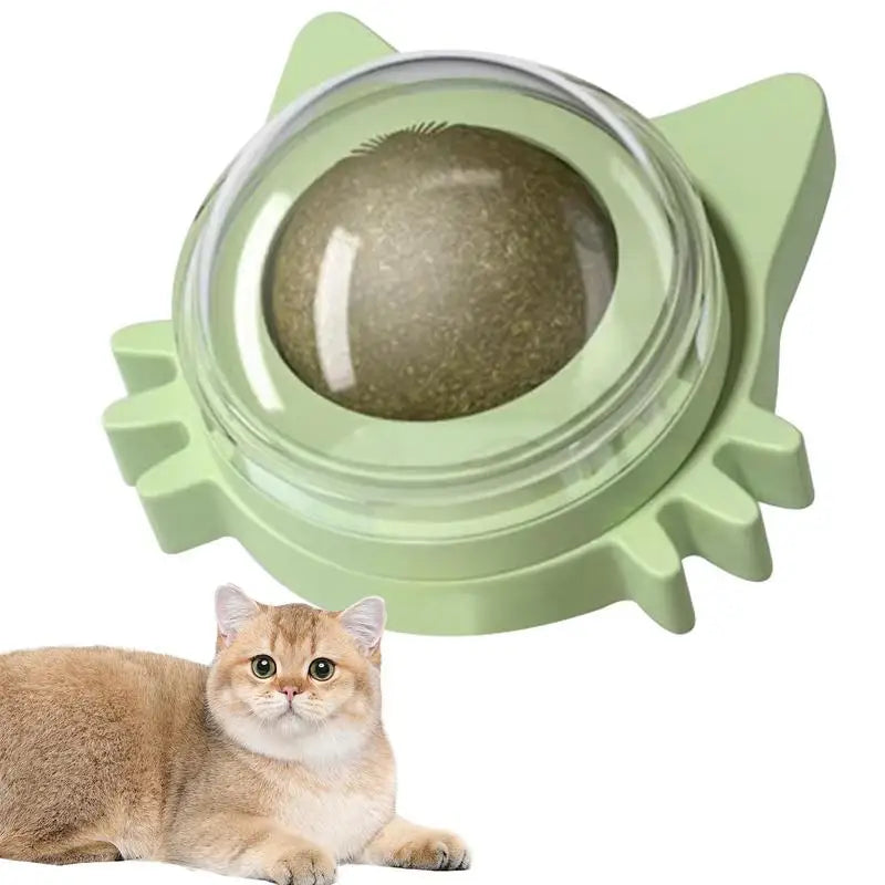Cat Toy Catnip Ball Rotating Kitten Wall Toys
