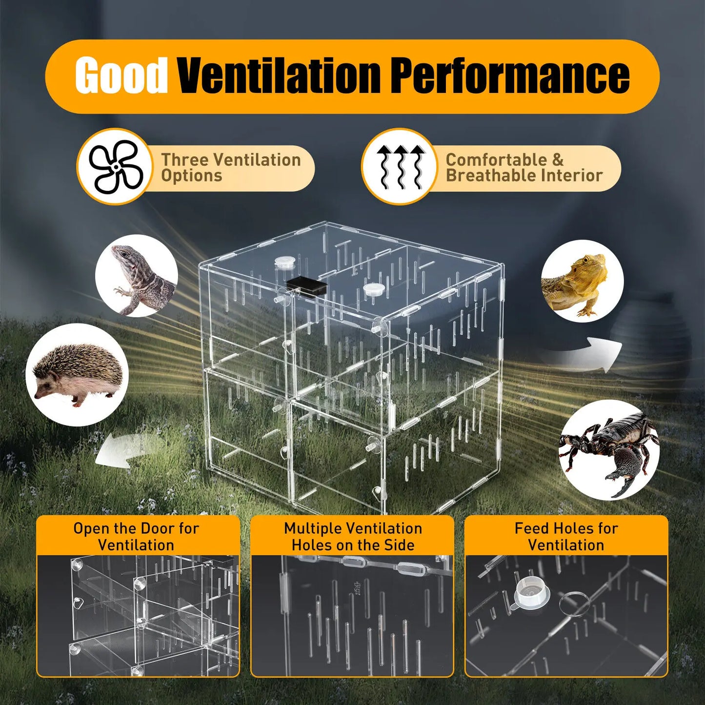 4 Grids Acrylic Pet Reptile Cage Breeding Box Terrarium