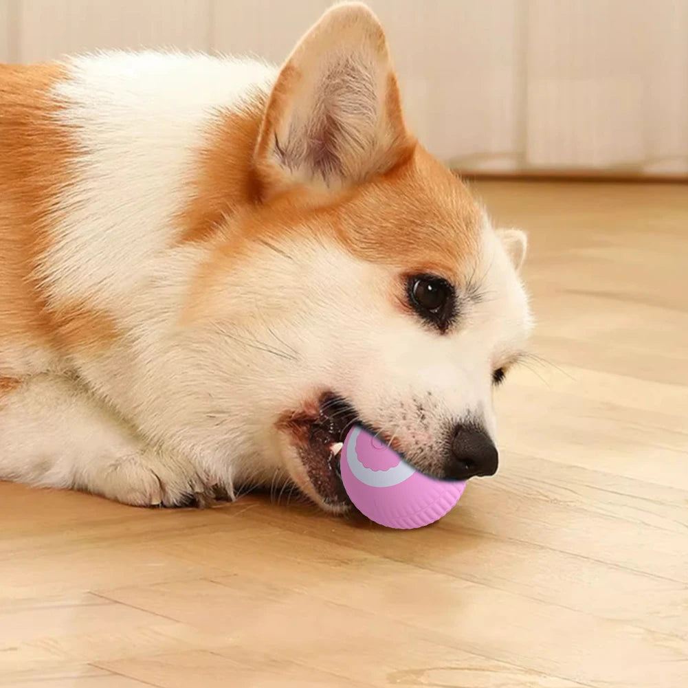 Electric Cat Ball Toys Automatic Rolling USB Rechargeable