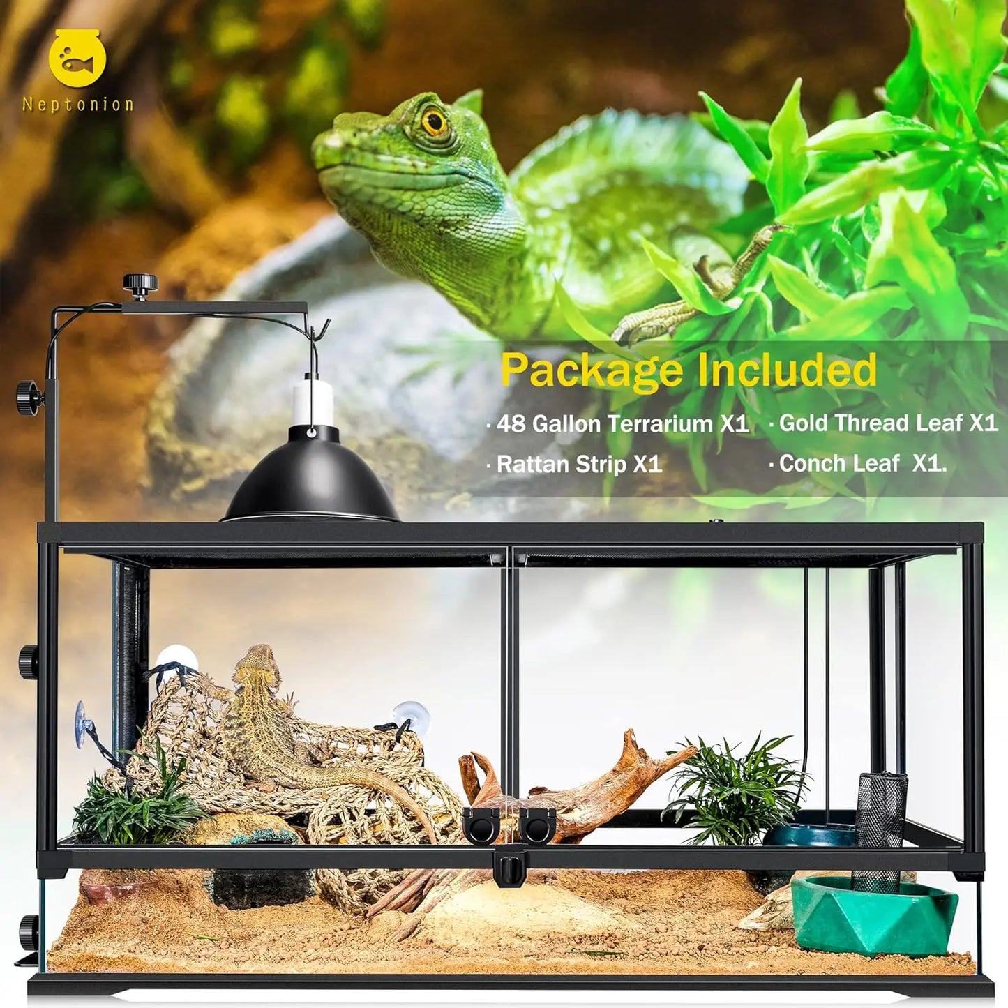 43 Gallon Professional Glass Terrarium 24"x18"x24" Durable Reptile Habitat