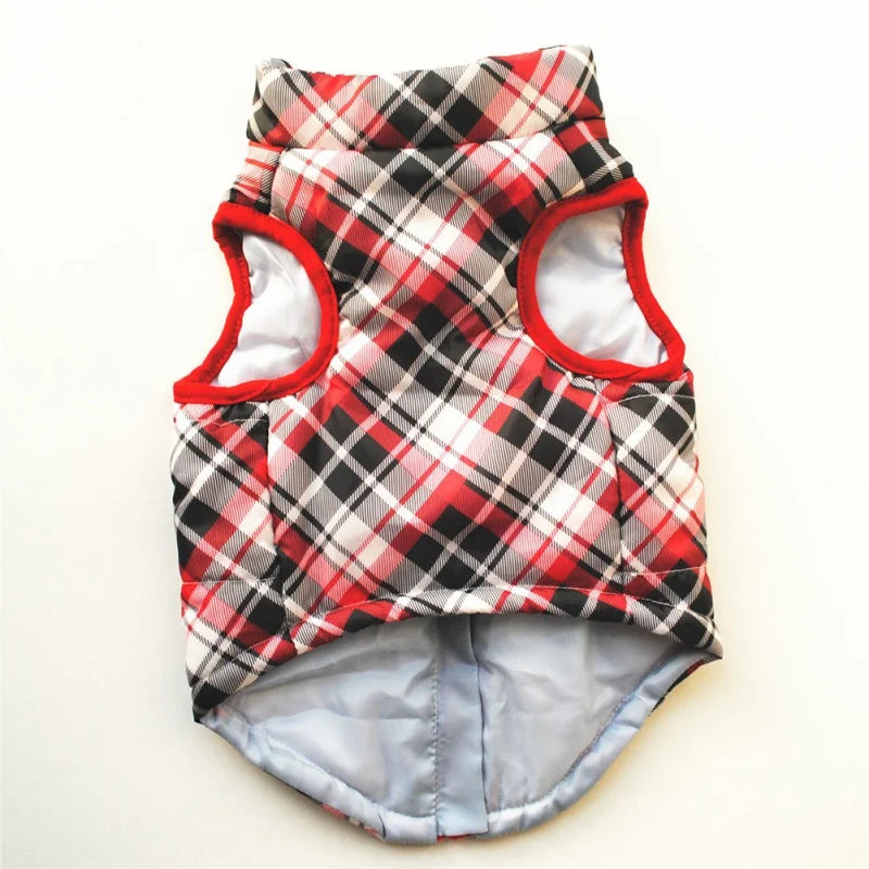 Windproof Dog Clothes For Small Dog Winter Coat Jacket