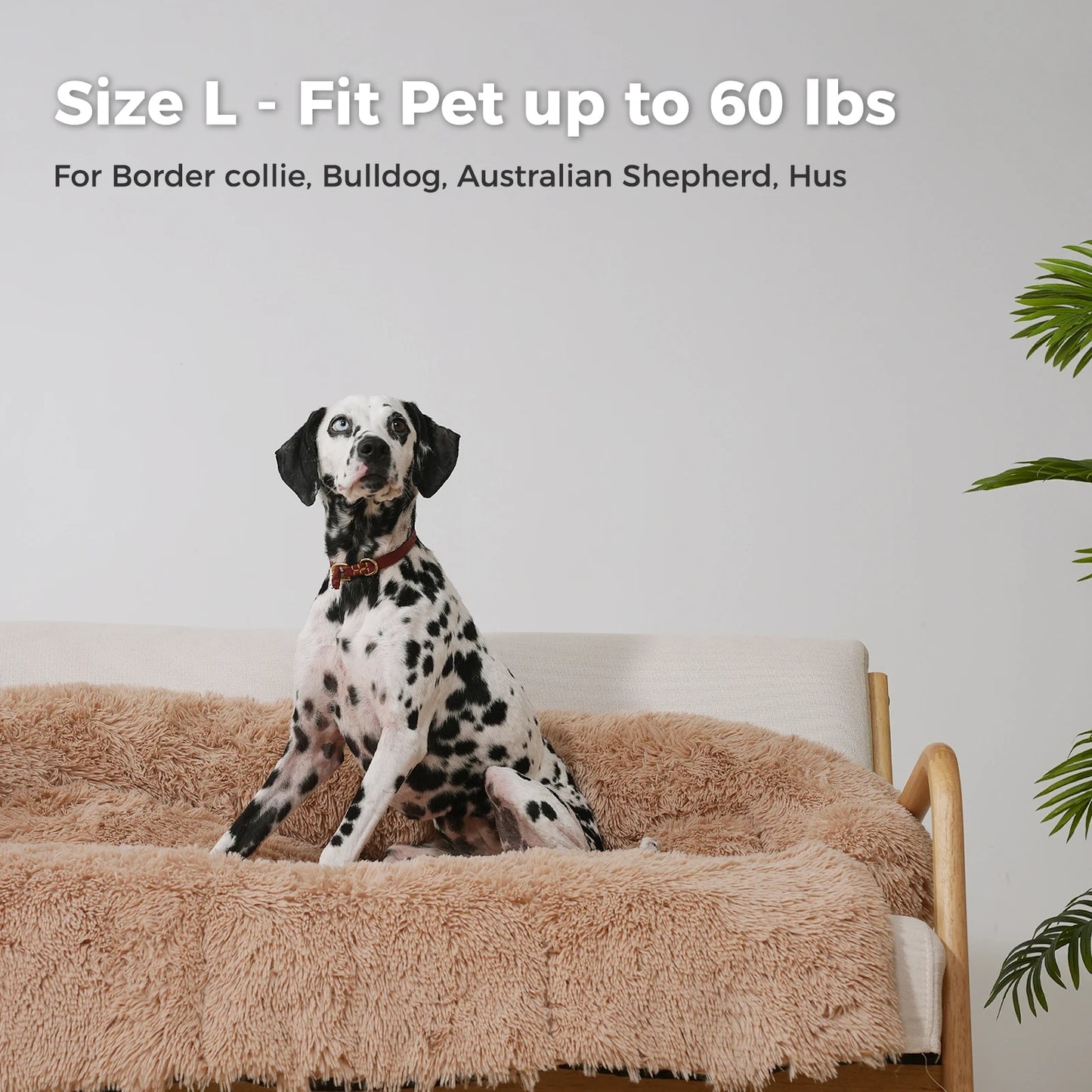 Fluffy Dog Bed Mat Sofa Winter Warm Pet Blanket bed