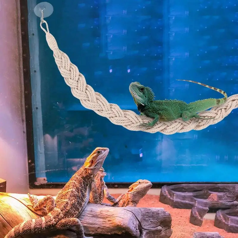 Habitat Decor Reptile Tank Terrarium Accessories