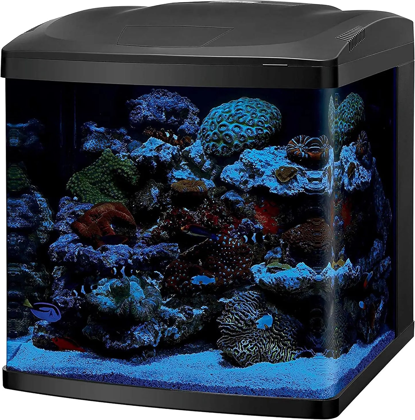 BioCube Aquarium Fish Tank Kit, 32 Gallon