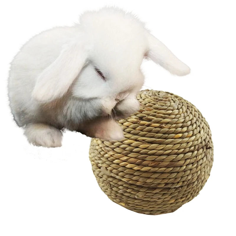 4PCS Pet Chew Toy for Small Pet