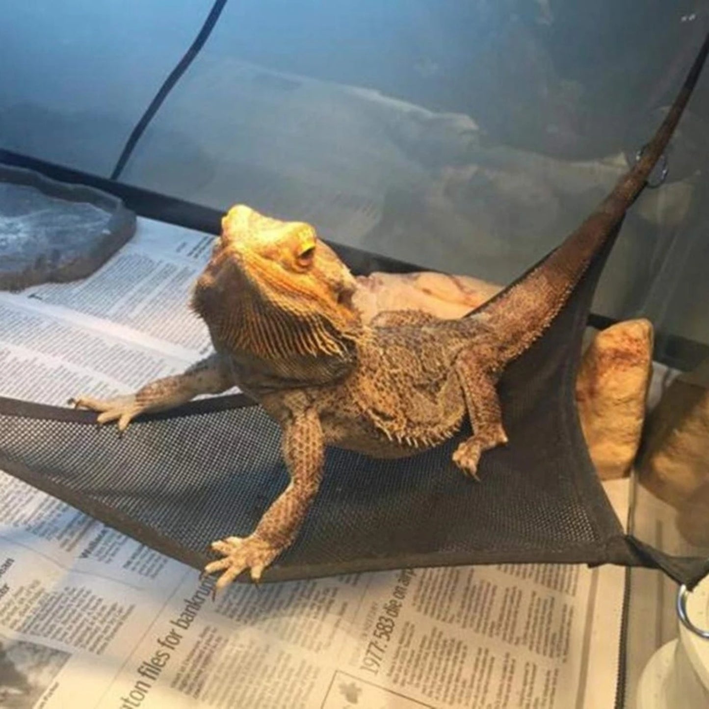 Hammock Lounger Ideal for Bearded Dragons
