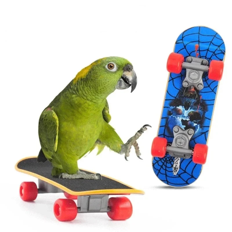 Bird Training Toy Supplies Toy Accessories