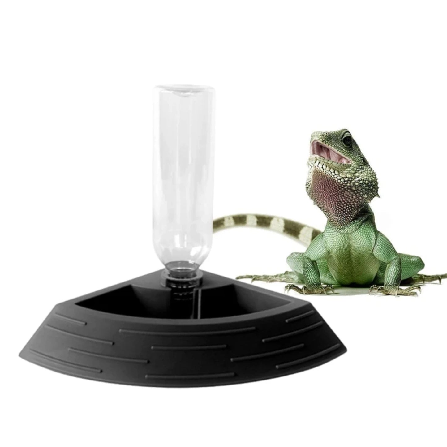 2 Feeding Feeder Automatic Reptile food and water