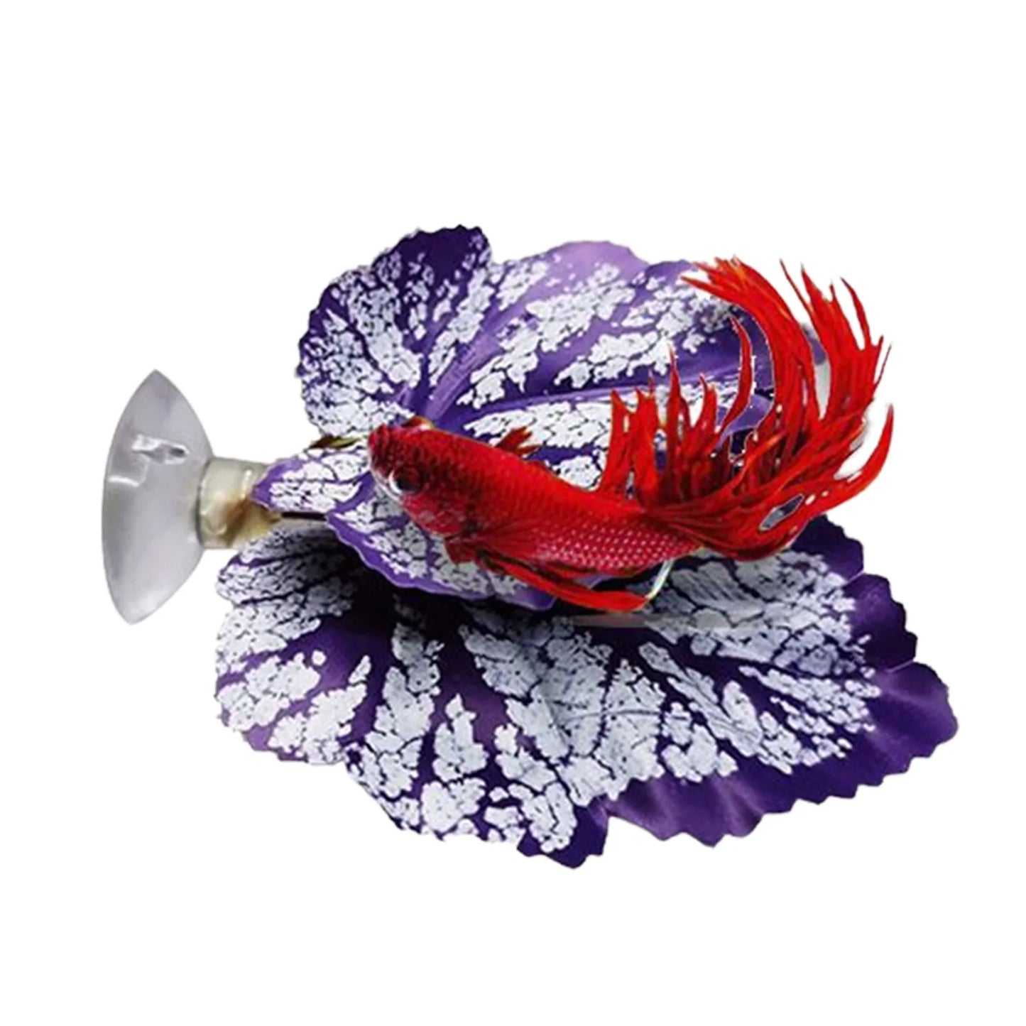 Betta Fish Leaf Pad Aquarium Plants