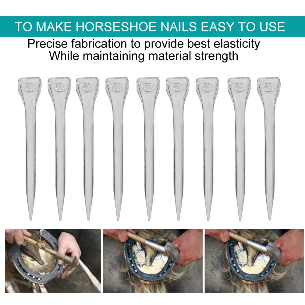 250Pcs Steel Horseshoe Nail E6 High Quality Nail