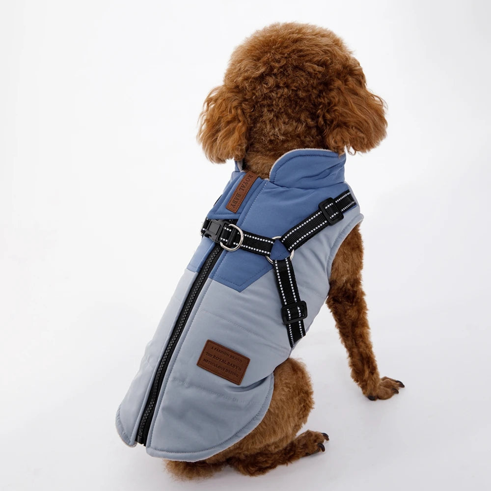 Pet Jacket With Harness Winter Dog Clothes