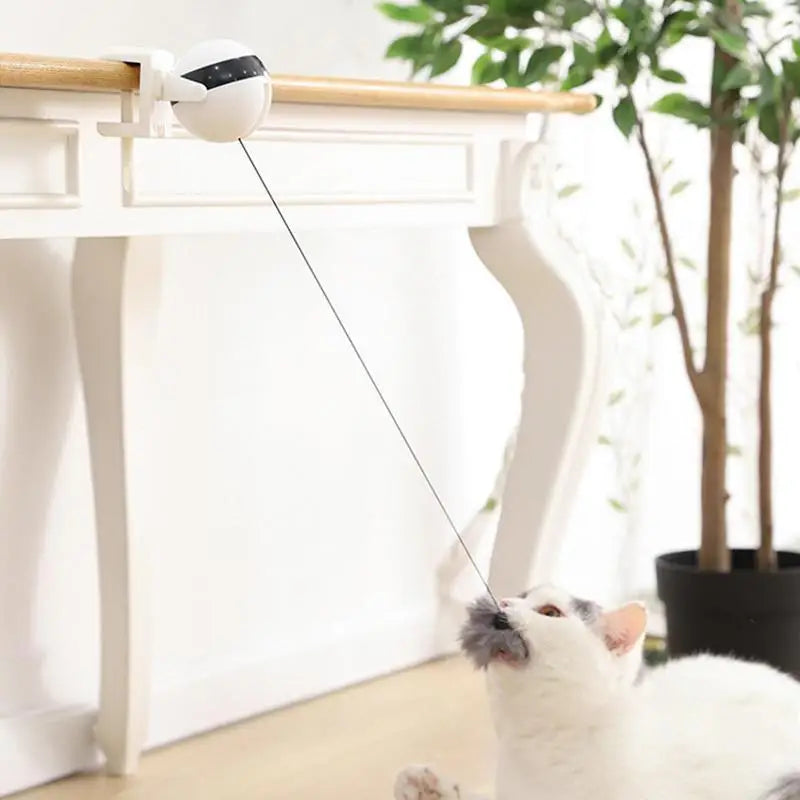Automatic Lifting Cat Toy Ball Smart Electric Training Toys