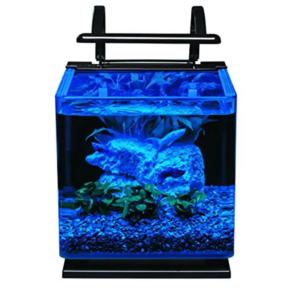 Glass Aquarium Kit with Rail Light Shimmering Daylight Moonlit Glow