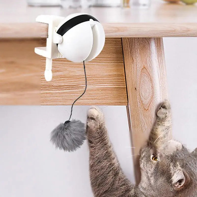 Automatic Lifting Cat Toy Ball Smart Electric Training Toys