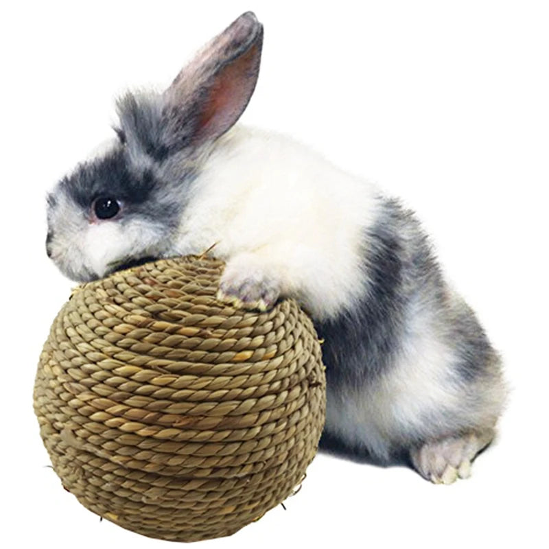 4PCS Pet Chew Toy for Small Pet