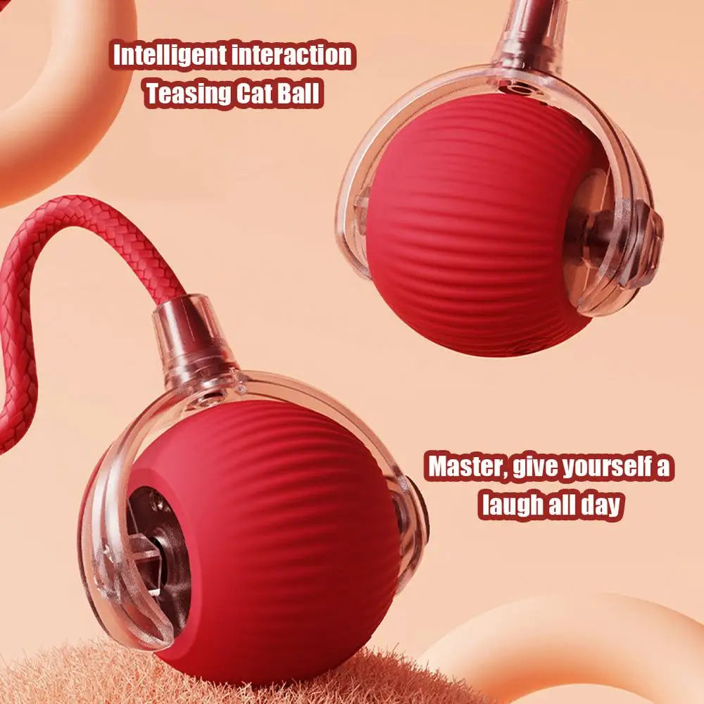Cat Toys Ball Auto Electric Rolling Ball