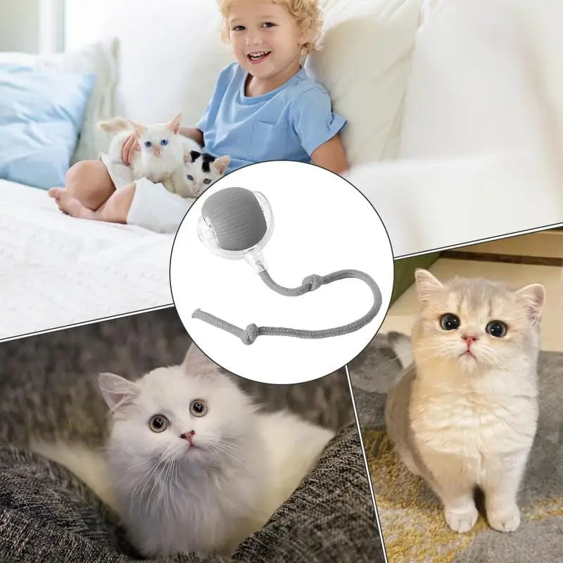 Cat Toys Ball Auto Electric Rolling Ball