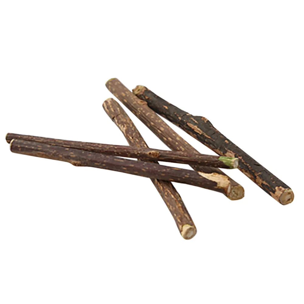 Apple Wood Chew Sticks Twigs For Small Pets