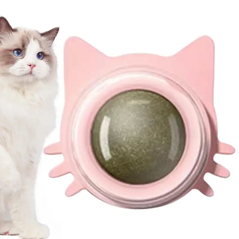 Cat Toy Catnip Ball Rotating Kitten Wall Toys