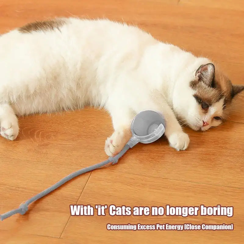 Cat Toys Ball Auto Electric Rolling Ball