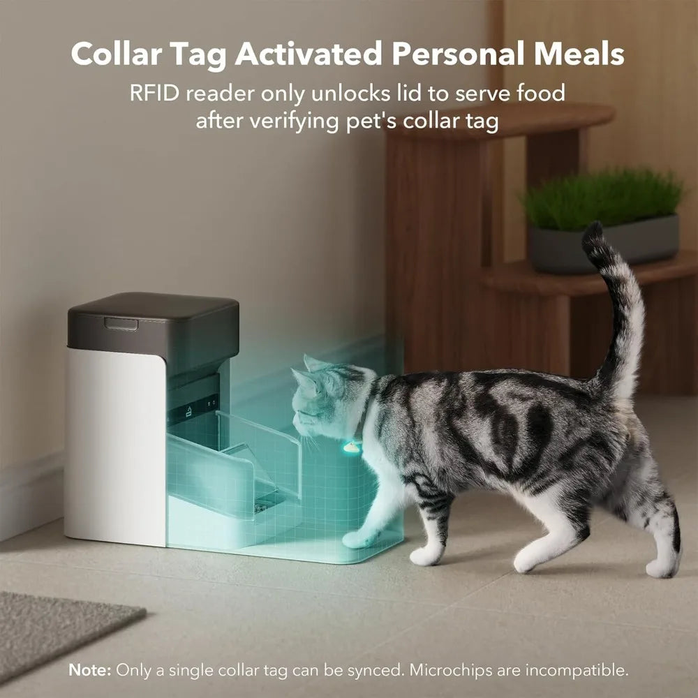 Bundle of Upgraded Automatic Cat Food Feeder