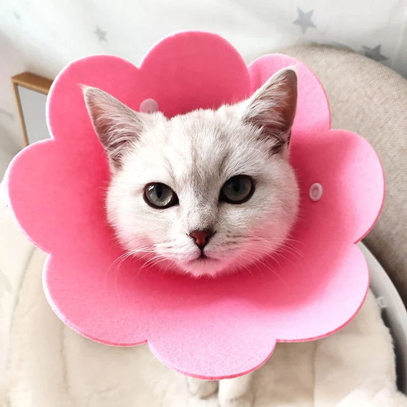 Flower Shaped Elizabethan Cat Recovery Collar Healing pet Cone