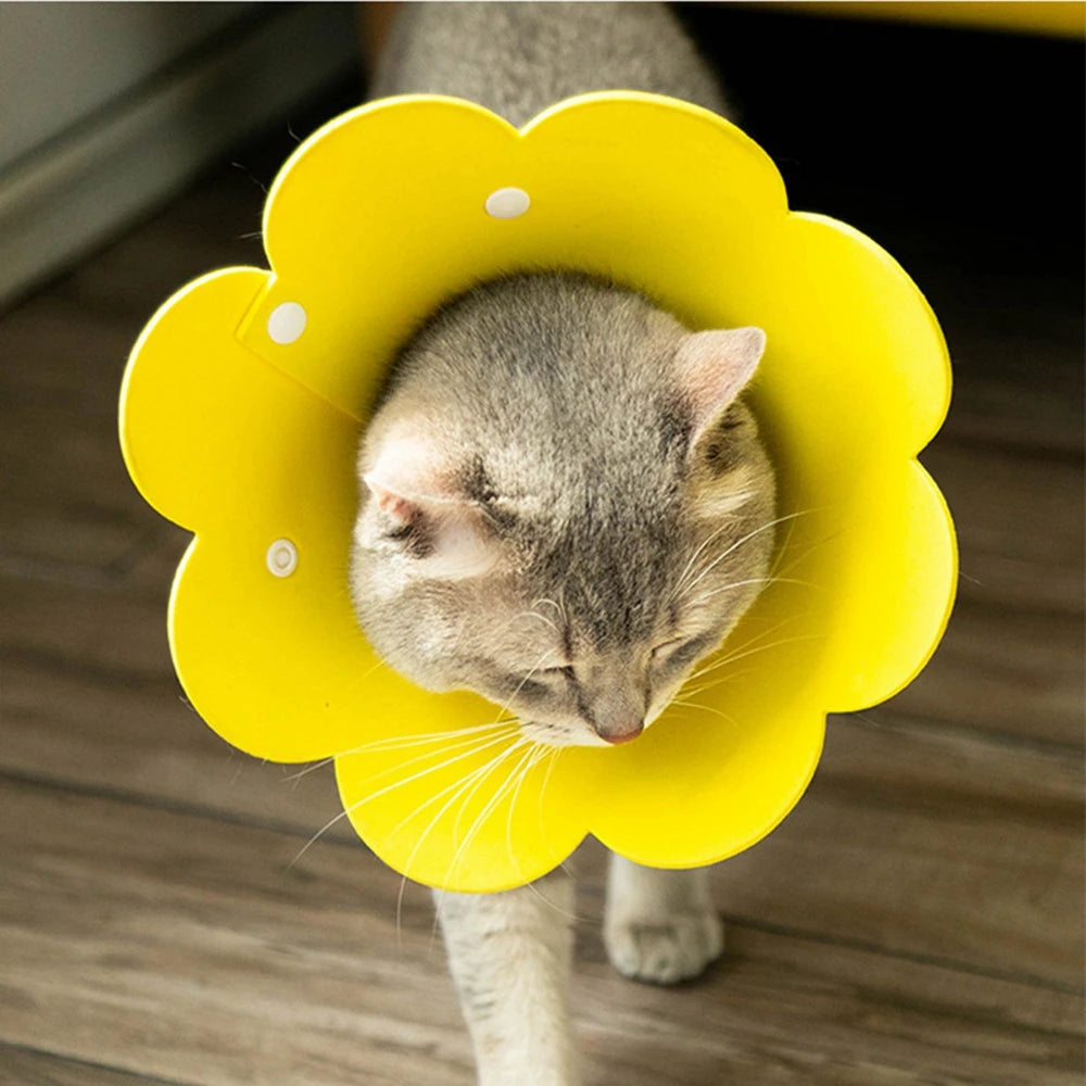 Flower Shaped Elizabethan Cat Recovery Collar Healing pet Cone
