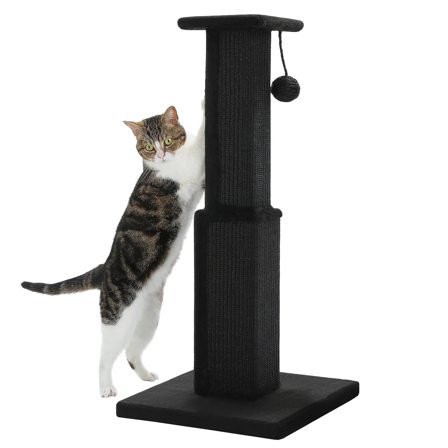 Cat Scratching Post for Indoor Scratcher