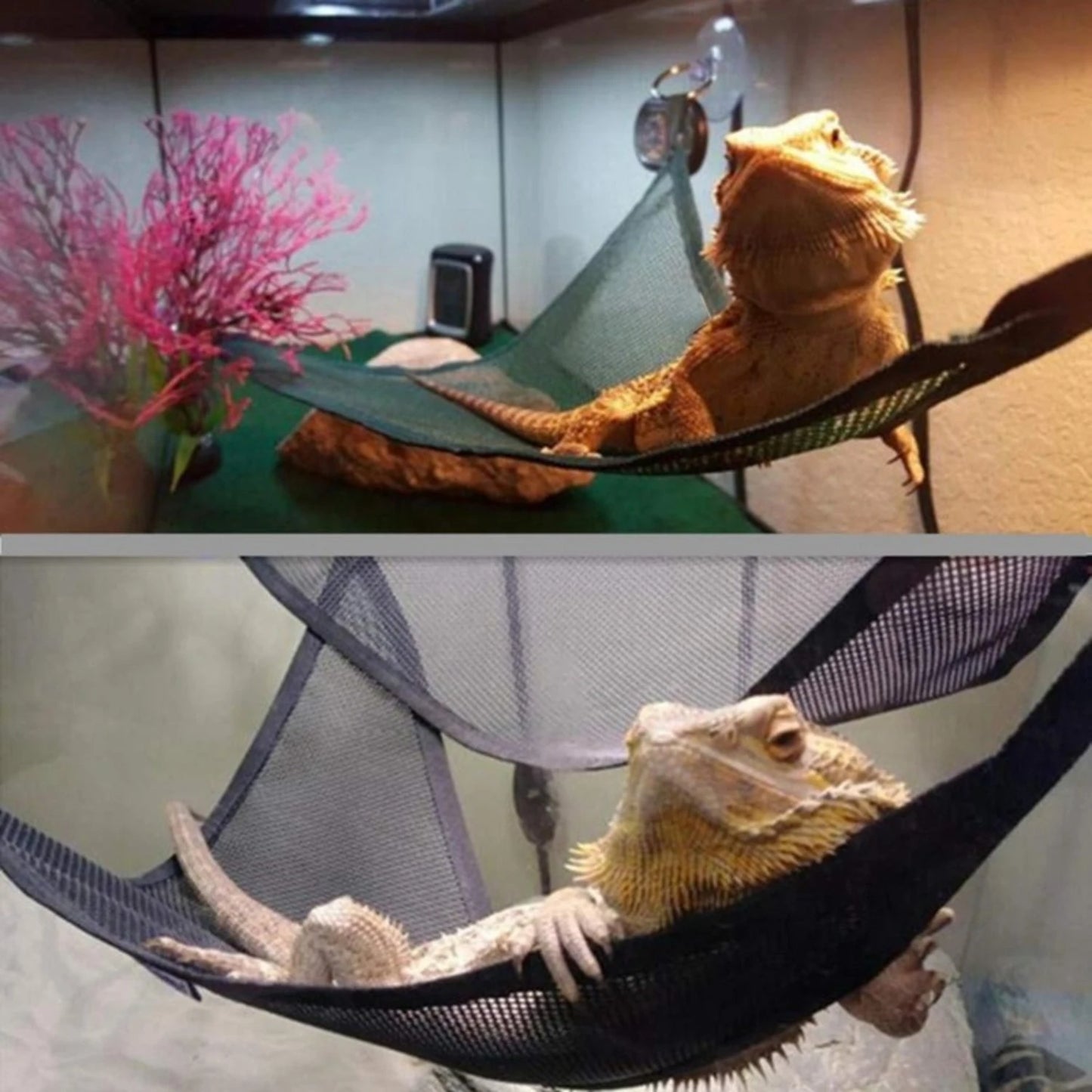 Hammock Lounger Ideal for Bearded Dragons