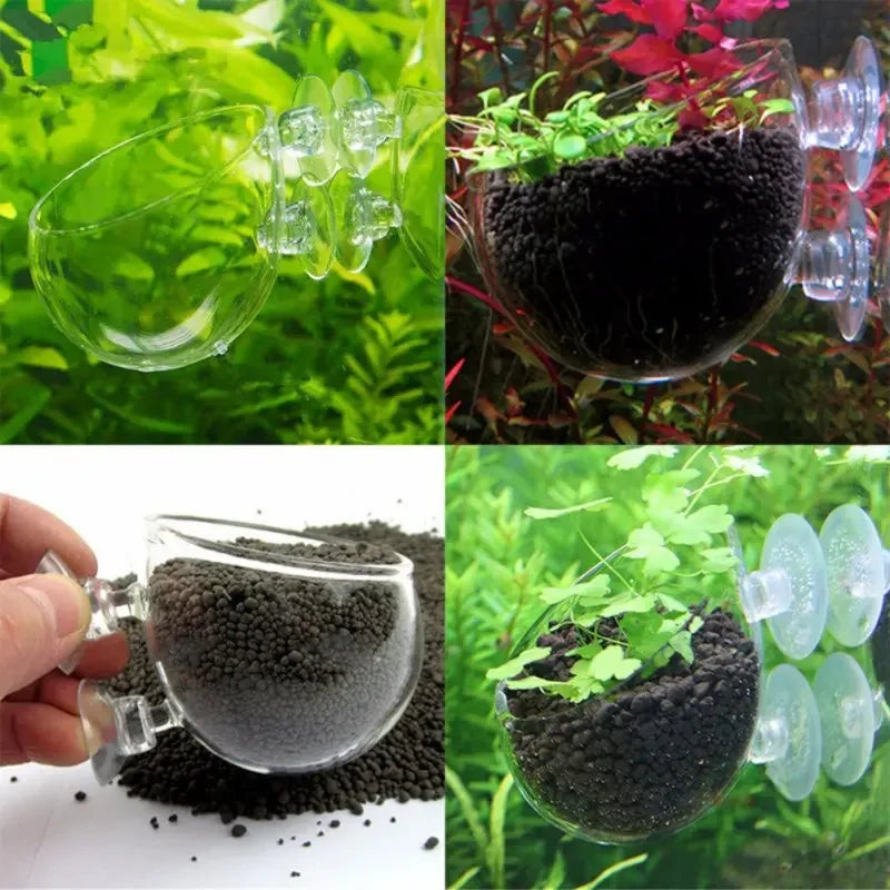 Aquarium Plant Holder Crystal Glass Suction Cups for Fish Tank