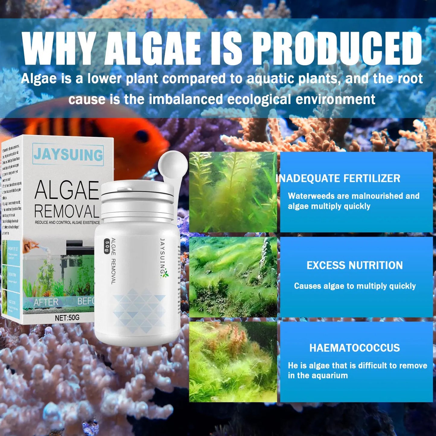 Algae Removal Pond Cleaner High Efficient Algae Repellents