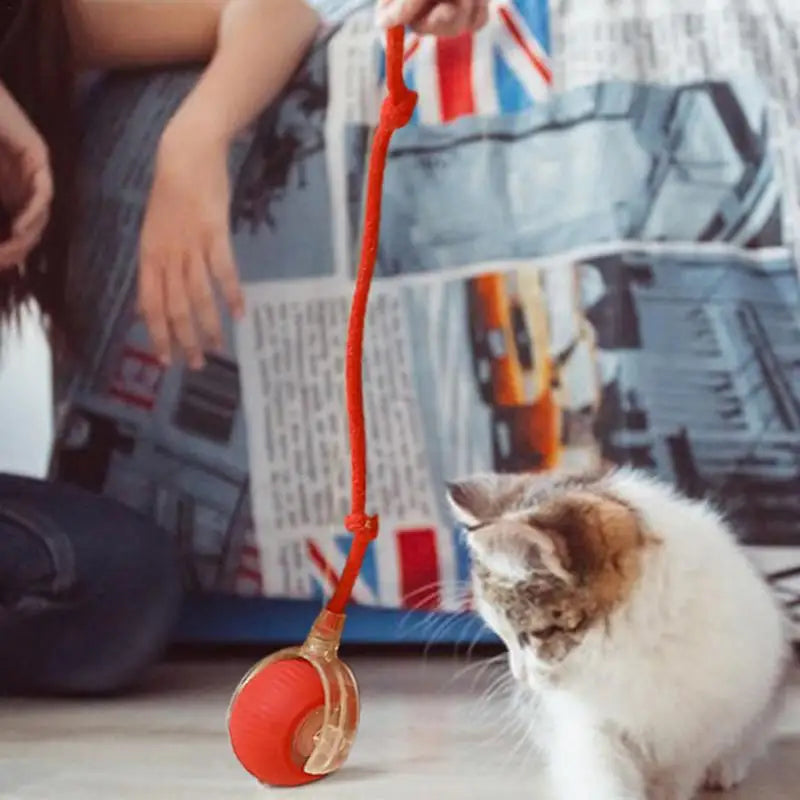 Interactive Cat Rolling Ball Super Drive Toy