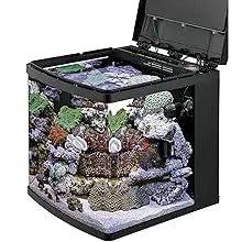 BioCube Aquarium Fish Tank Kit, 32 Gallon