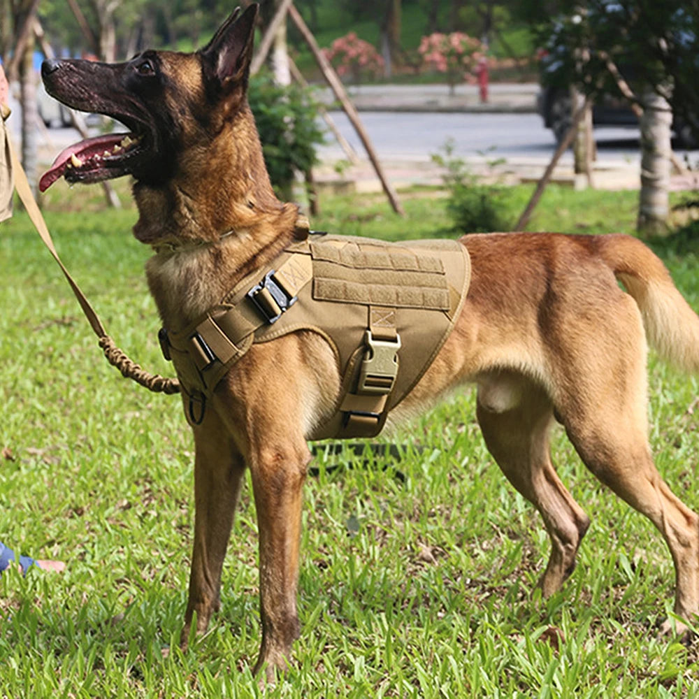 Dog Harness And Leash Set Pet Training Walking Vest